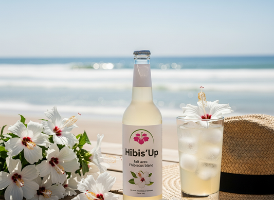 Le bissap, le karkadé, Hibis'Up un voyage autour du monde